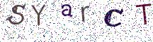 SYarCT