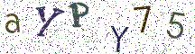 aYPY75