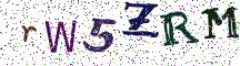 rW5ZRM