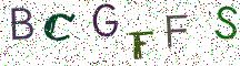 BCGFFS