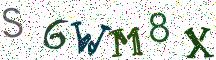 S6WM8X