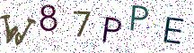 W87PPE