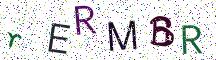 rERMBR