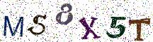 MS8X5T