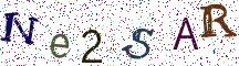Ne2SAR