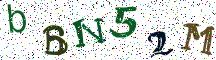 bBN52M