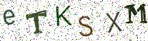 eTKSXM