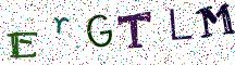 ErGTLM