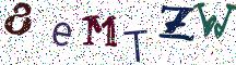 8eMTZW