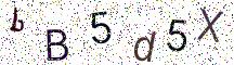 bB5d5X