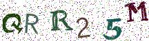 QRR25M