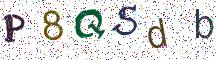 P8QSdb