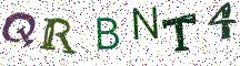 QRBNT4