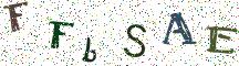 FFbSAE