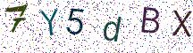 7Y5dBX