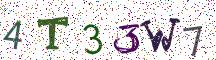 4T33W7