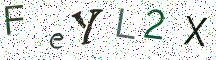 FeYL2X