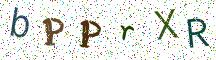 bPPrXR