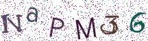 NaPM36