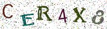 CER4X8
