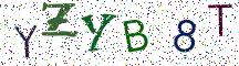 YZYB8T