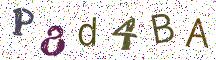 P8d4BA