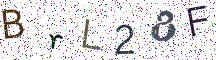 BrL28F