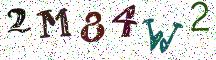 2M84W2