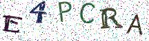 E4PCRA