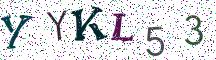 YYKL53