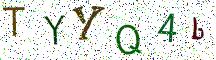 TYYQ4b