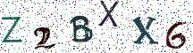 Z2BXX6