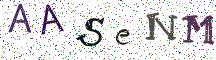 AASeNM