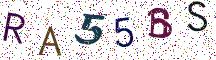RA55BS