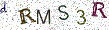 dRMS3R