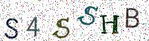 S4SSHB