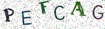PEFCAG