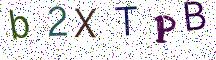 b2XTPB