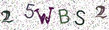 25WBS2