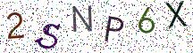 2SNP6X