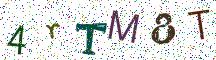 4rTM8T