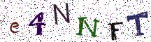e4NNFT