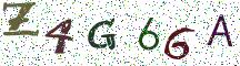 Z4G66A
