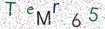 TeMr65