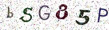 bSG85P