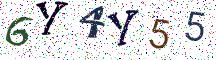 6Y4Y55