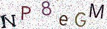 NP8eGM