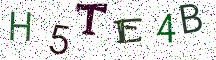 H5TE4B