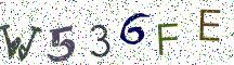 W536FE