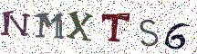 NMXTS6